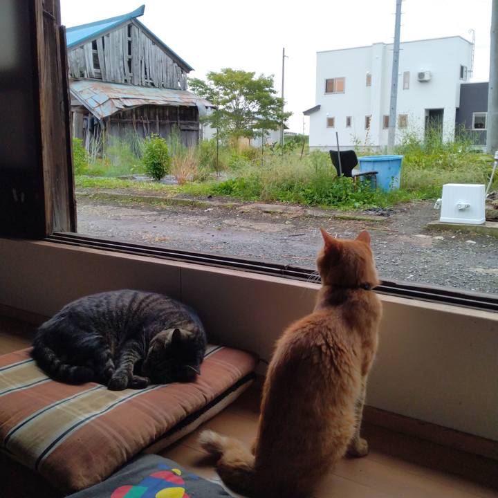 Bf8d2c57 09ea 45e5 a01d 2f4a92f95a9b 1663904422346