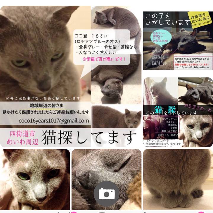 Bf8d3635 ecd7 43e8 9f42 84504c320dd3 1511062591576