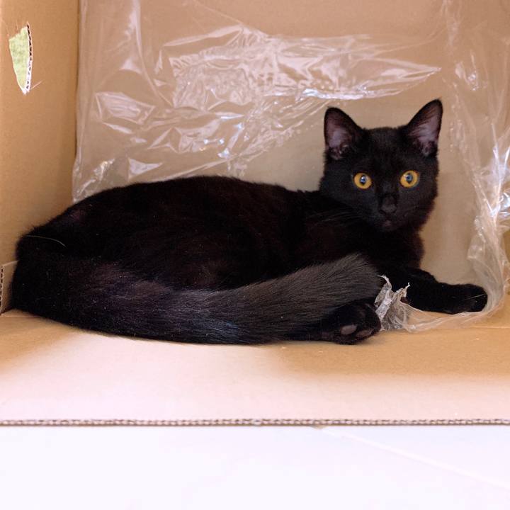 Bf8d8139 b7a3 402f 8df7 f6a275a8dd4f 1547821920926