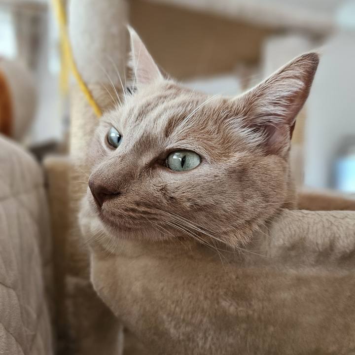 Bf8d81d8 d62a 47e4 afcf 48c157759b93 1723946532949