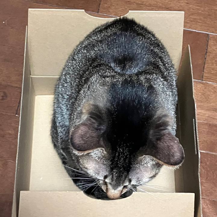 Bf8d90c7 213d 4c0f acf0 c5906b1f18aa 1770423400504