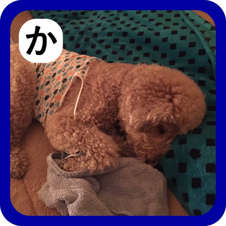 Bf8d9e9d 516a 4f0c b3fa b2770222cfa5 1514868632333