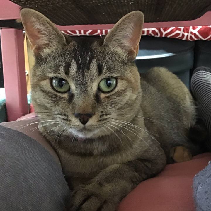 Bf8de12a a437 41f0 a79e f847cbee62f9 1593484030932