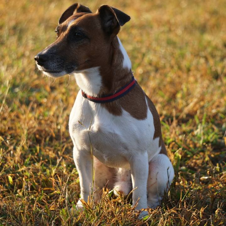 Bf8ded55 5375 4a15 b0ab 9fc65c24074c 1540940160908