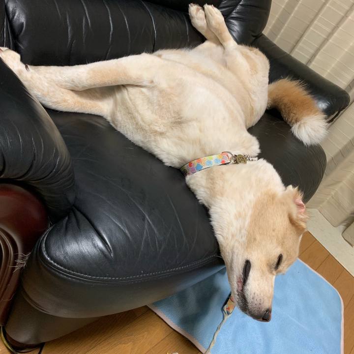 Bf8e1f15 8f2e 4911 b569 3294dbb6bf0a 1567699155771