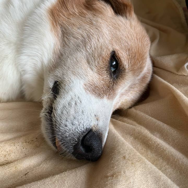 Bf8e558e 9864 41bd b179 63fb9e91876a 1598573541978