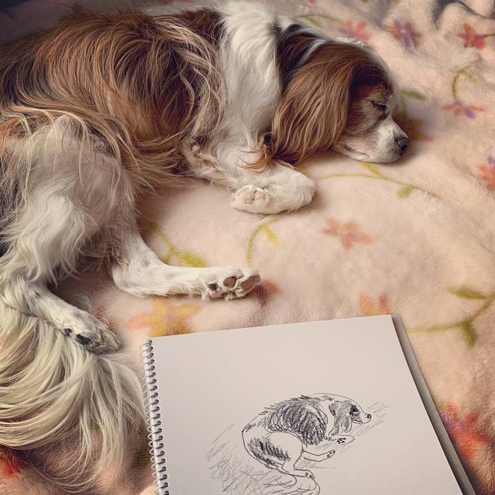 Bf8e6401 9d72 4b76 b0ae 25f8adddee9c 1574211443936