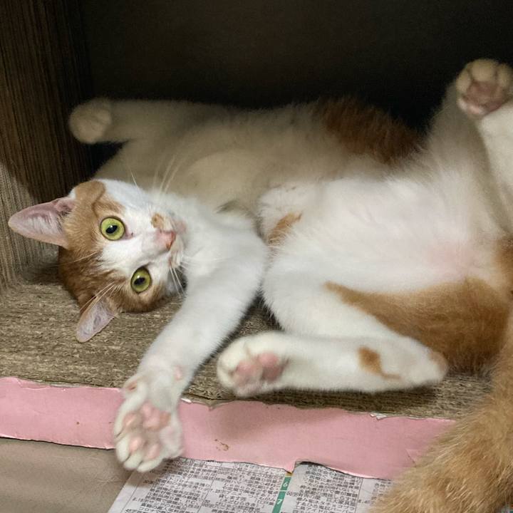 Bf8e78a6 f42f 4367 a6bf e461037efb9a 1627642582160