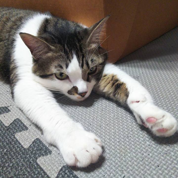 Bf8e7fb8 c529 4f4d 922f 7960797df064 1641005338733