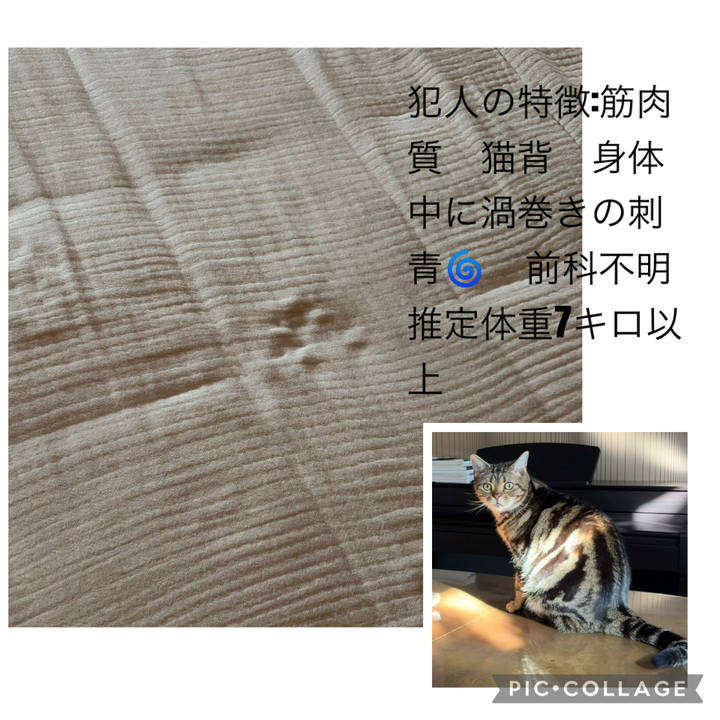 Bf8ea95e 6cfc 4aae aee3 567653a7a3f8 1775448084635