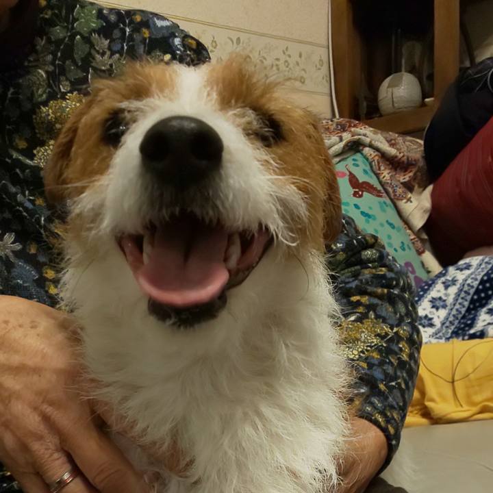 Bf8ef979 7e3d 4da9 91b4 225c19acef21 1551182218765