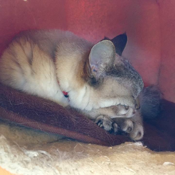 Bf8f2605 297f 47c4 9cb7 58f277088c7e 1589070142202