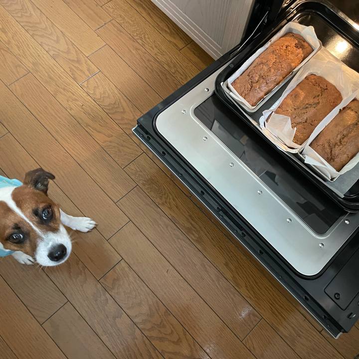 Bf8fa5c7 169f 4fd0 b6b9 66e6b1ea0ad8 1626325179339