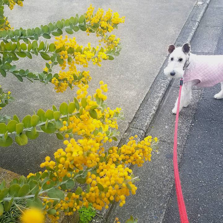 Bf90180e f12d 4b5a 914e 26fed939d0a3 1585006320529