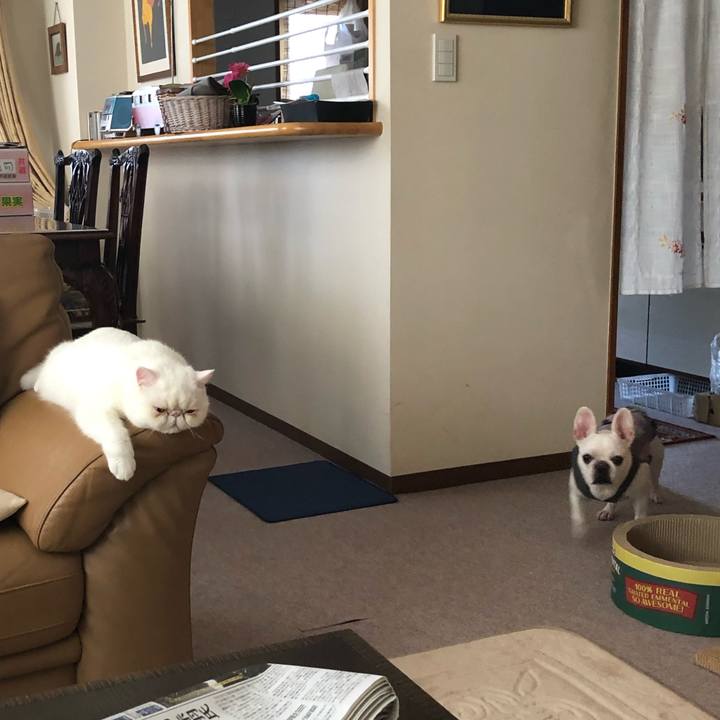 Bf904321 8452 44f3 939c 57dfb17bdec9 1567812721344