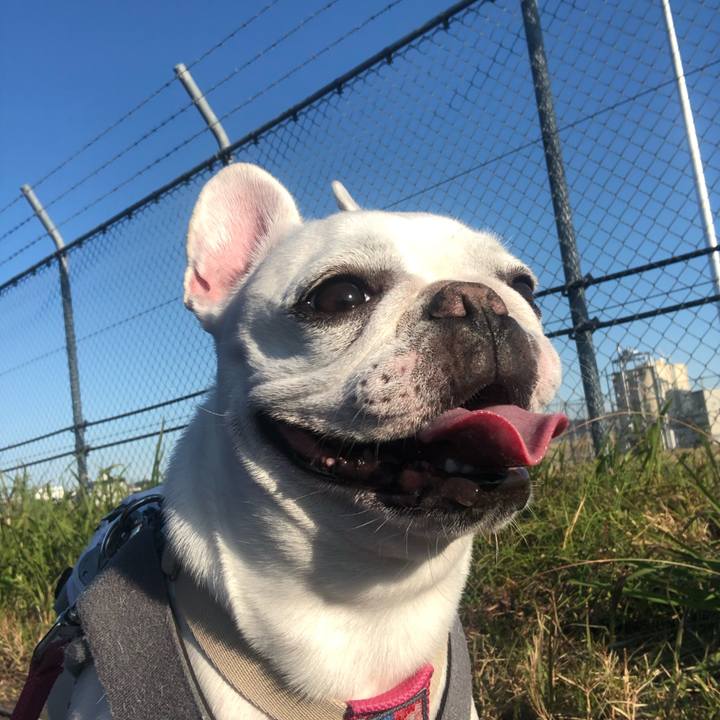 Bf908003 255c 4594 a7c2 8518157cd886 1573354057572