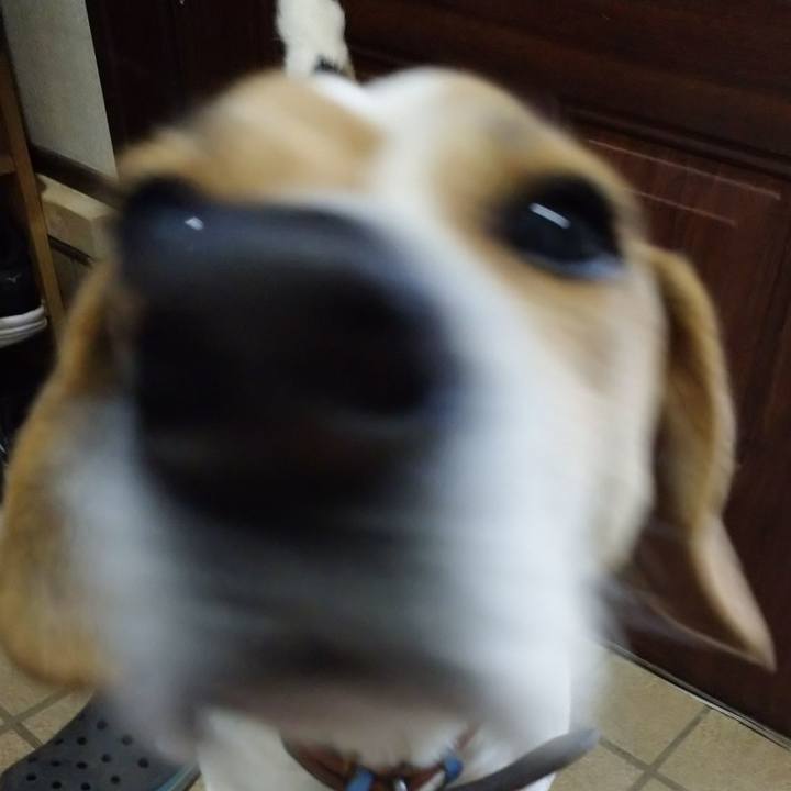 Bf90c8cc 8765 46c3 bd83 f9eaabae726e 1614317021812