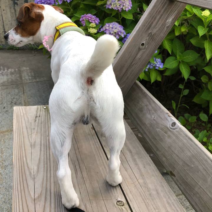 Bf9154ad 60b0 43bf 86ca 0a7f6789ec44 1543490948358