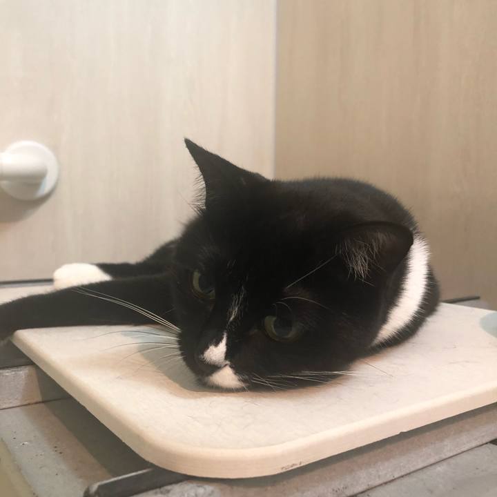 Bf916316 d974 451e aaac bc540aa2ec2e 1564524972857