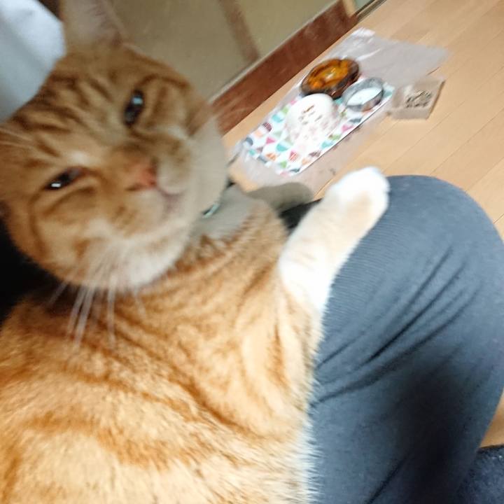 Bf9170ec f36a 4495 af0c 3fd75acdba45 1606900001844