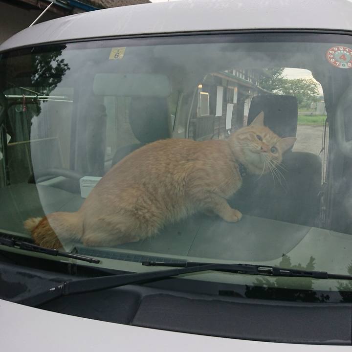 Bf917afb 8c03 42bf b37a 3b5a0b8d7f3f 1659474780357