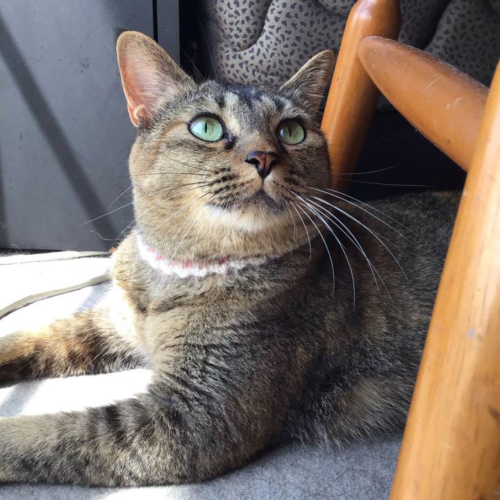 Bf918b31 6fcf 4a01 b9dc 79325e5a7162 1661314761745