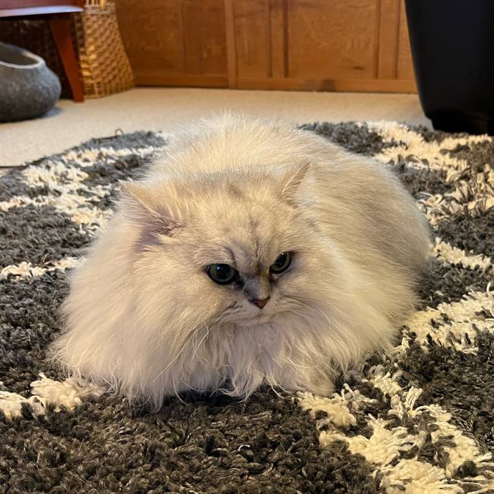 Bf918c32 b4ee 4255 a4a3 250a41bb3b91 1645095390697