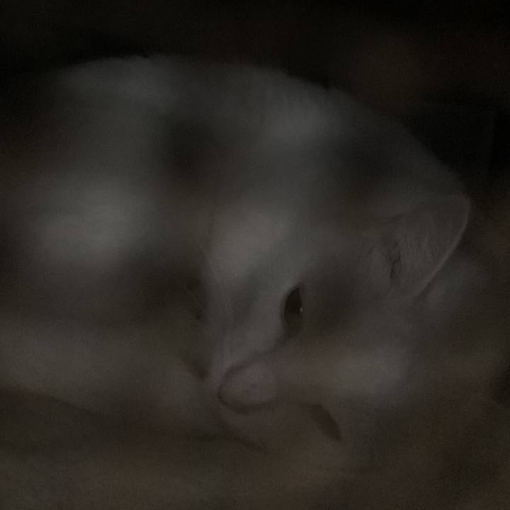 Bf918d9a 2b49 4c4e a510 2173b9f3c4f9 1688178048930