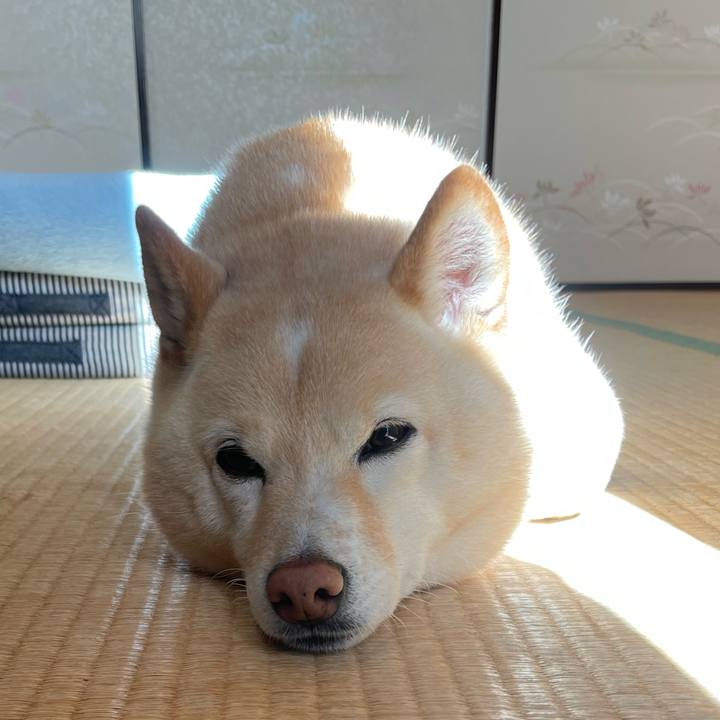 Bf91a3ff 68ae 4f83 913d eacfd5915b9d 1740271839718