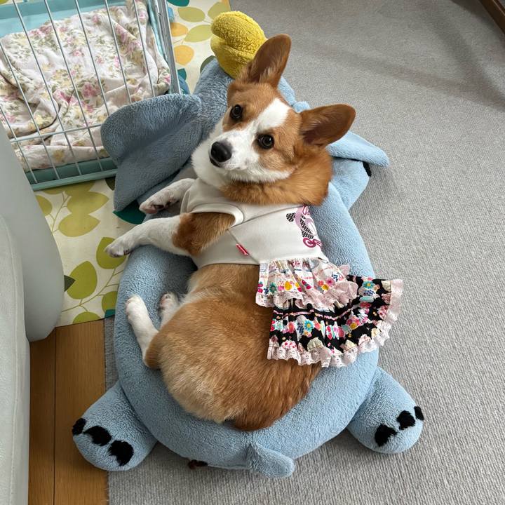 Bf91a60f a326 4ad1 9424 b0723830f235 1760076886524