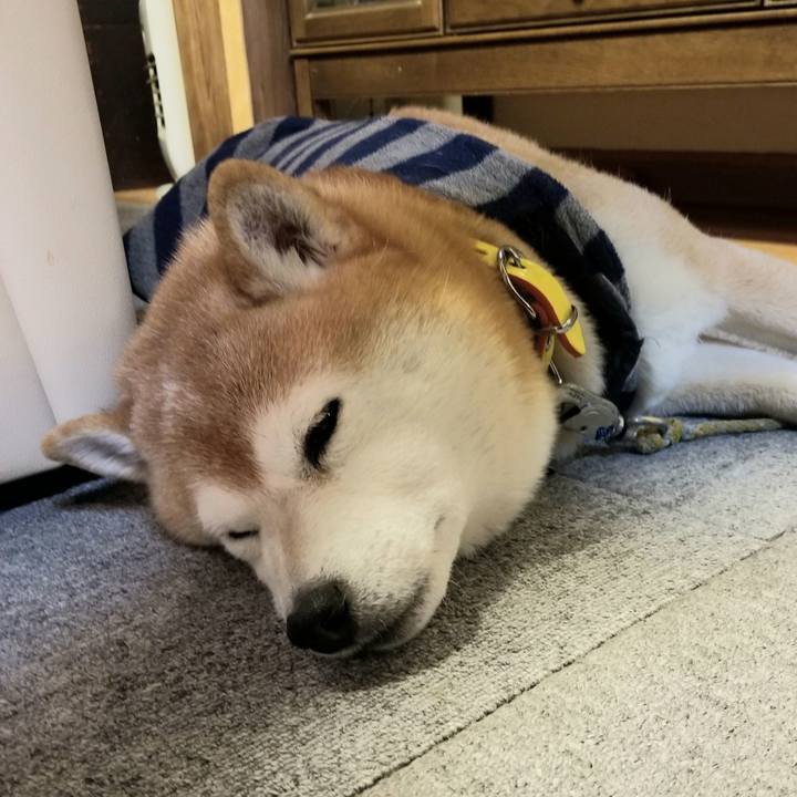 Bf91bc8f 2848 440d a19d 16a339688a75 1672913668662