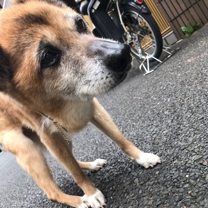 Bf91c501 b4d1 48c8 a44e 2b4a06c49e61 1560727571222