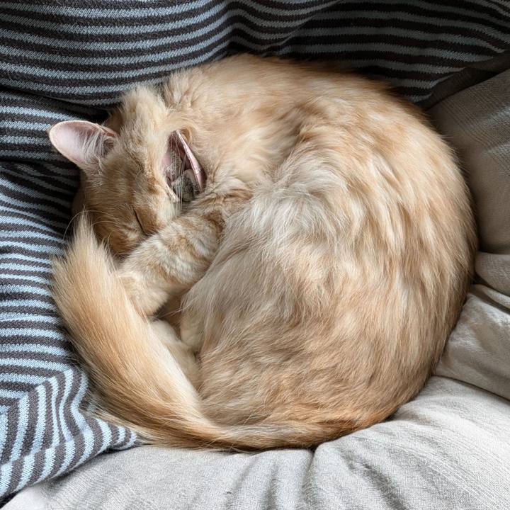 Bf9228be 5fd4 41cf 9843 1550a983cff2 1730864525519