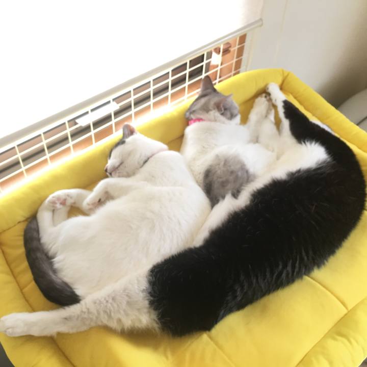 Bf923643 89bf 41e5 8a23 b1724a406e7f 1567988288868