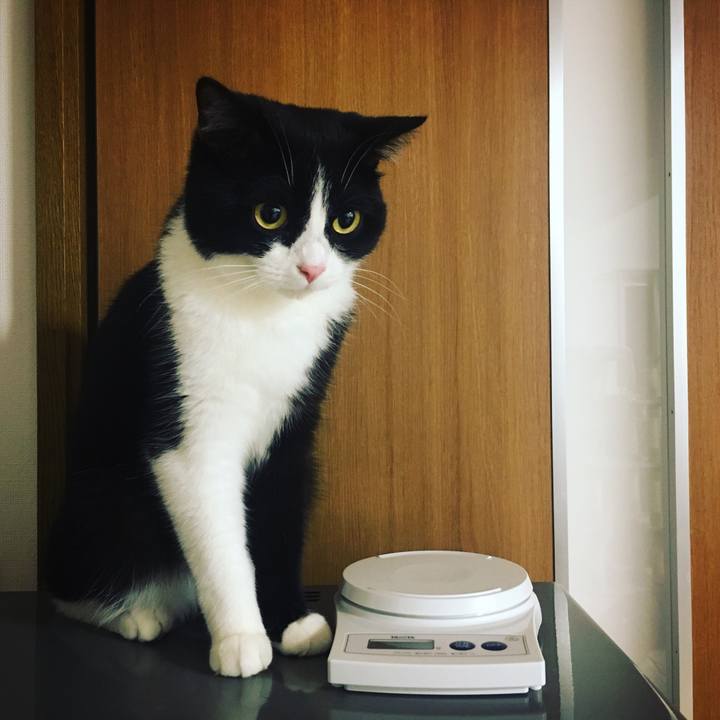 Bf9276f4 86af 4ae7 b65f dc46b0d12a94 1565563867323