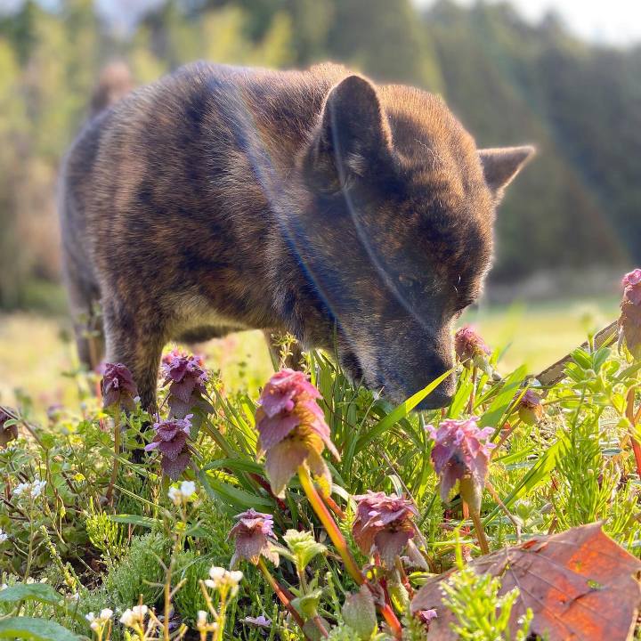 Bf928392 0601 4c4e a9eb 7229b992fa55 1586905266534