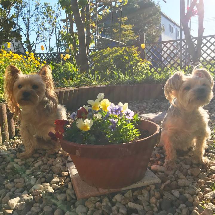 Bf92839e dbcb 4df8 99d2 1031d06346cf 1527411572827