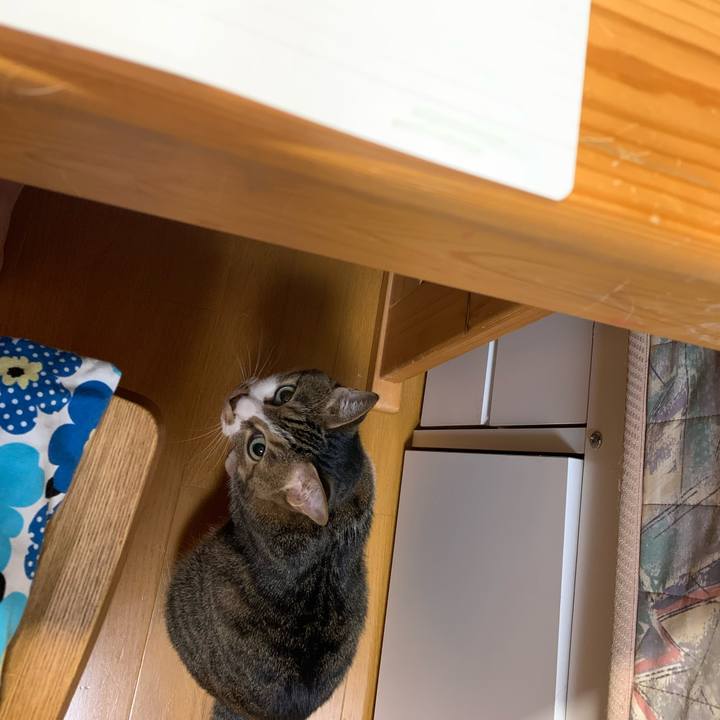 Bf92b557 b8eb 4714 8696 6e449fa69420 1636316559653