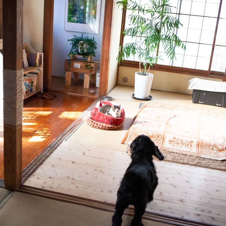 Bf92d6a0 dcb4 4c01 a16c 3ca6718df61e 1609729150687