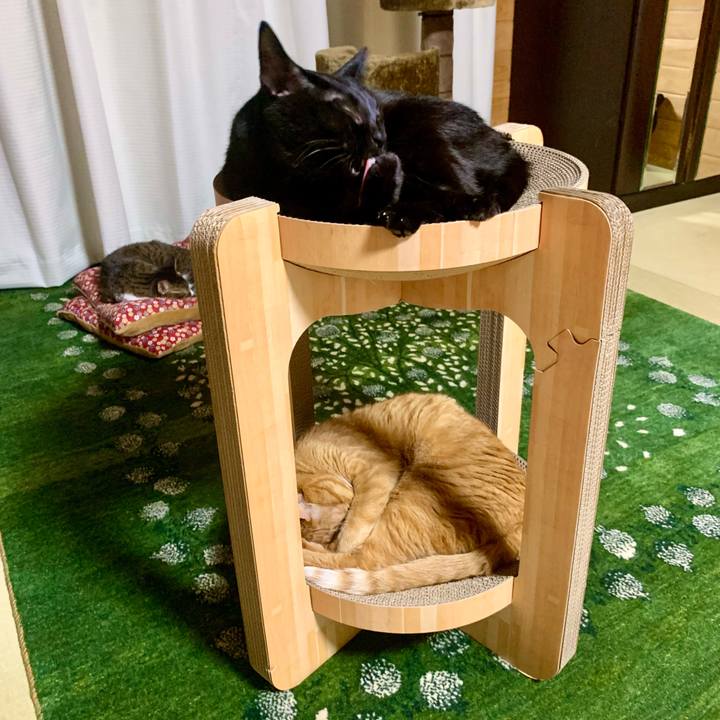 Bf92e979 a34c 4acc 9042 bd8f23c919cc 1640520486936