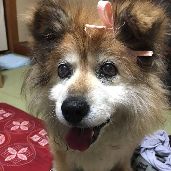 Bf93463d a822 4bd4 b645 64e58fdd200a 1606721798210