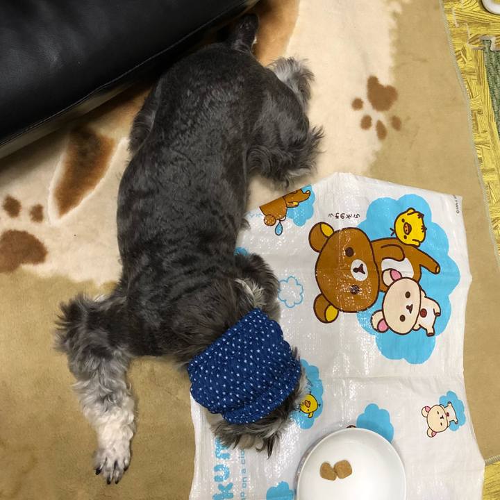 Bf935574 148a 40c6 bc3a 737fb6e3c4b8 1525433231556