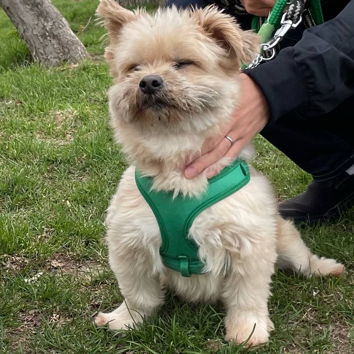 Bf935d71 e5a2 4aaf ac75 dcdf2b36e1a0 1651236978443