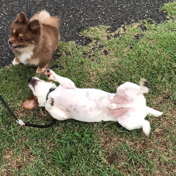 Bf93856e 9462 4297 bc4b fd2b399308b3 1536374378916