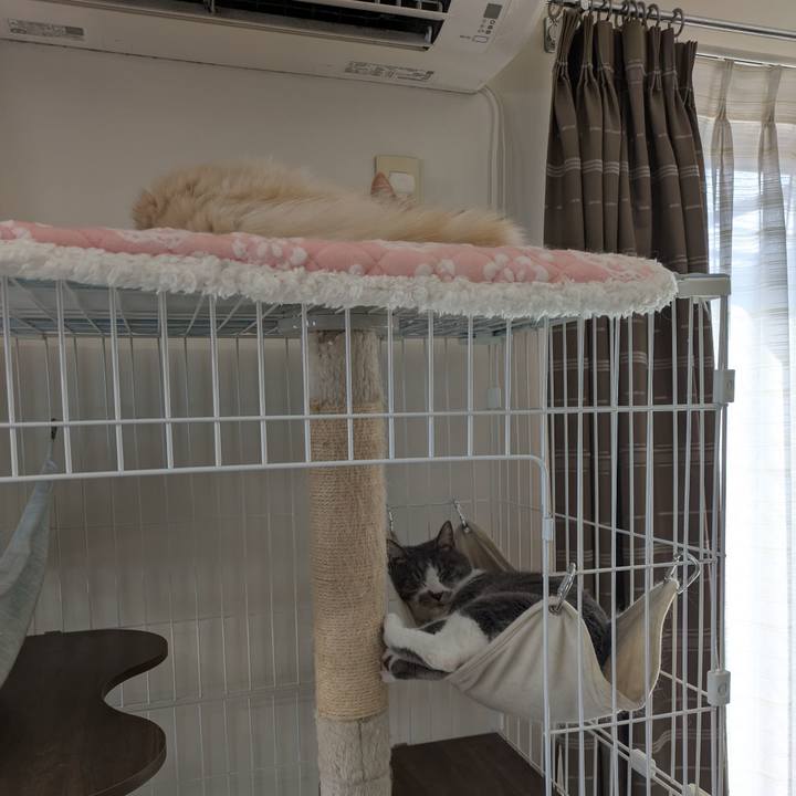 Bf9394f1 97ef 4885 b10c 41b992b55404 1743132390831