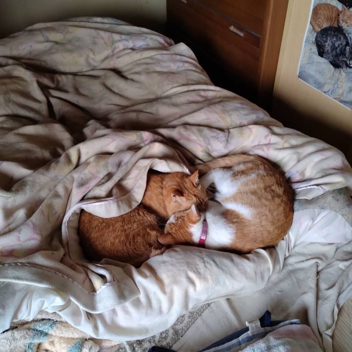 Bf93aaa0 9ad3 46ad a2ec 725418443c14 1745375450573