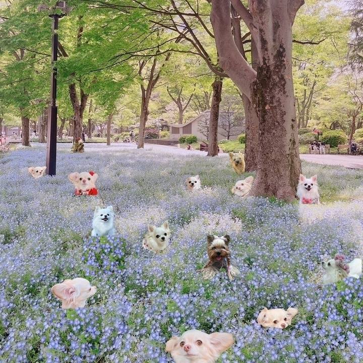 Bf93ae63 cbb5 459e 9ad1 5337bfe1d55d 1681814830565