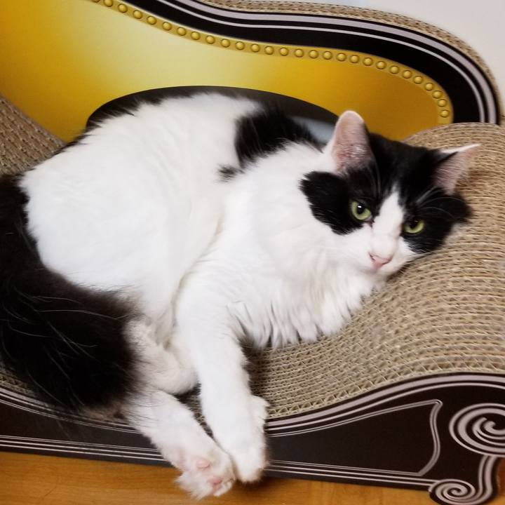 Bf93b78e a096 4139 8885 136fb9babc83 1595884014142