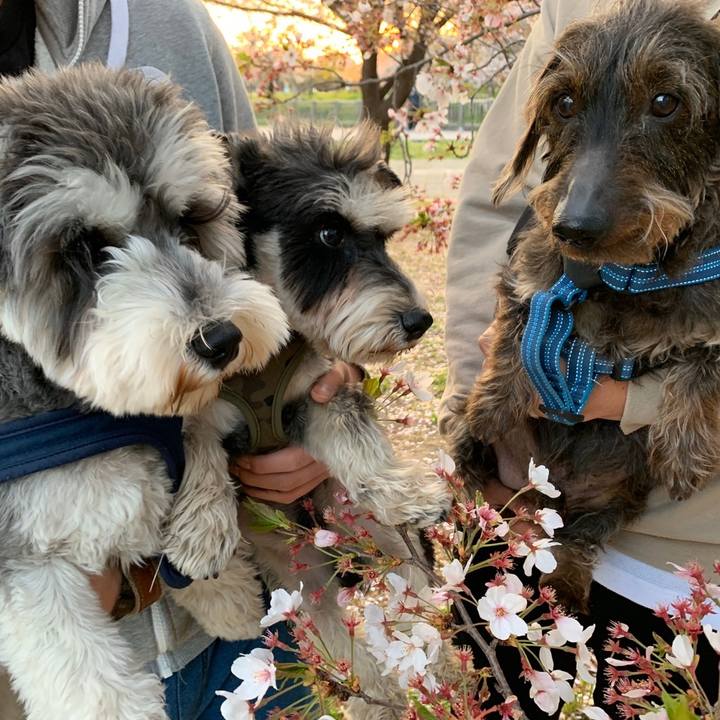 Bf93b7e0 946e 47d8 bd77 3335d2cd7fb7 1586582634074