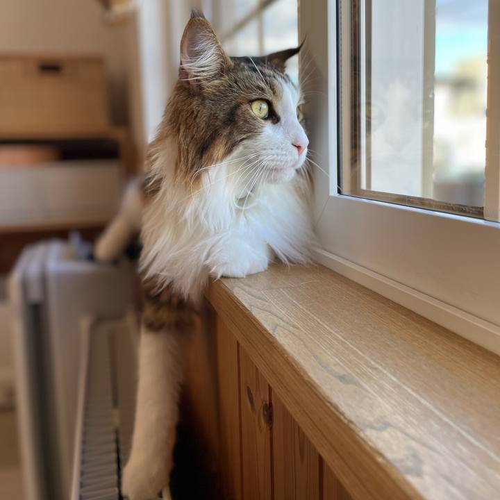 Bf93d770 cfc8 4d9c 91ce 5fa026e3e190 1666130925374